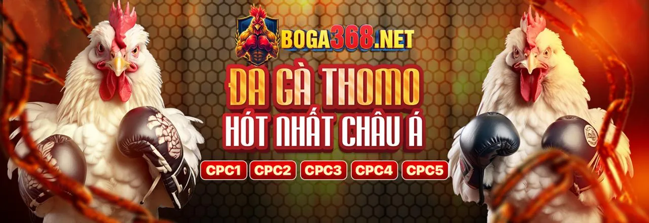Đá Gà Trực Tuyến hr99 Đăng Nhập